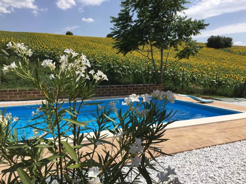 Pool with view on the hills