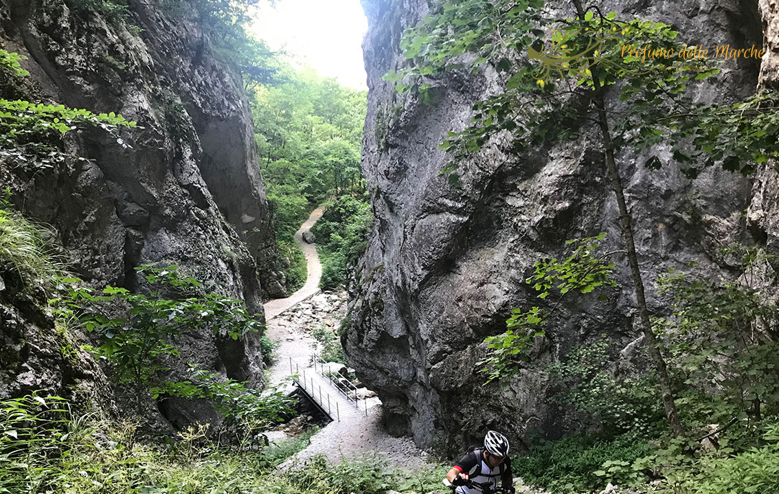 5-day mountain bike adventure in Italy